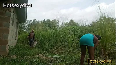 JAVHD