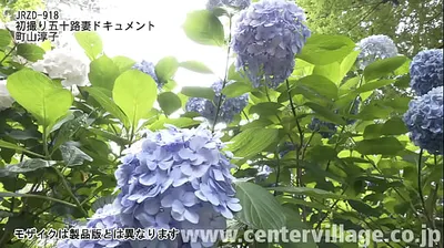 JAVHD