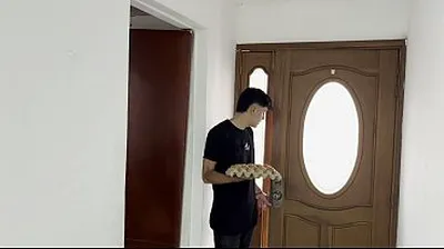 JAVHD