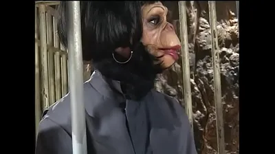 JAVHD