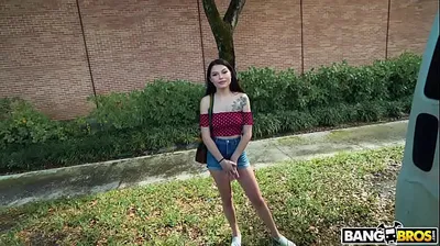 JAVHD
