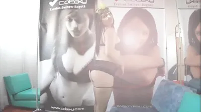 JAVHD