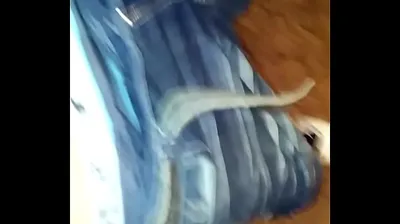 JAVHD