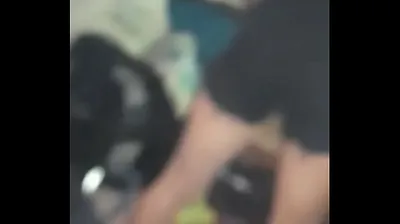 JAVHD