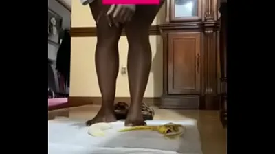 JAVHD