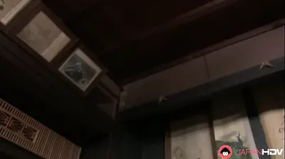 JAVHD