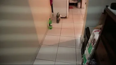 JAVHD