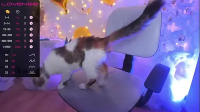 JAVHD