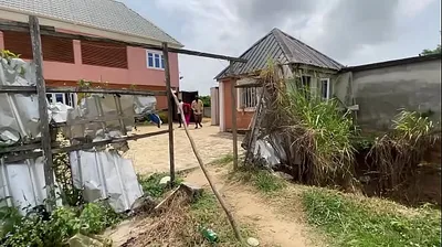 JAVHD