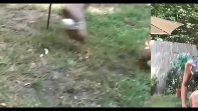 JAVHD