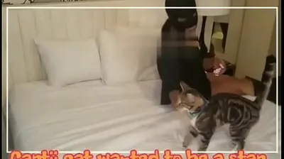 JAVHD