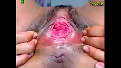 JAVHD