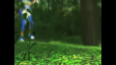 JAVHD