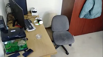JAVHD