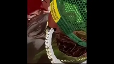 JAVHD