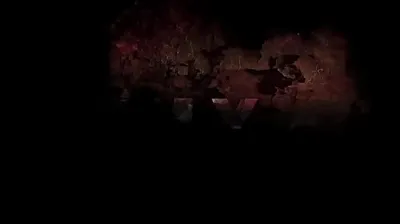 JAVHD