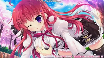 JAVHD