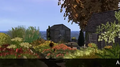 JAVHD