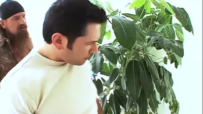 JAVHD