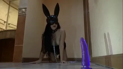 JAVHD