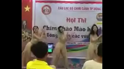 JAVHD