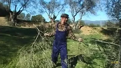 JAVHD