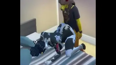 JAVHD