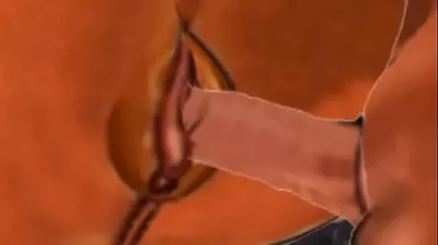 JAVHD