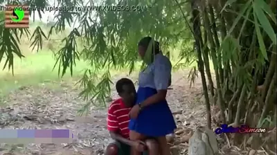 JAVHD