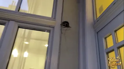 JAVHD