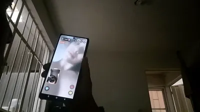 JAVHD
