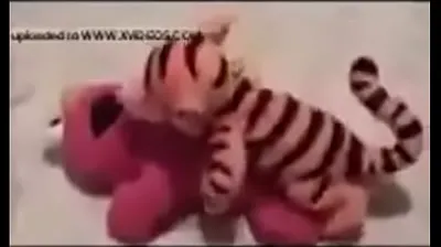 JAVHD