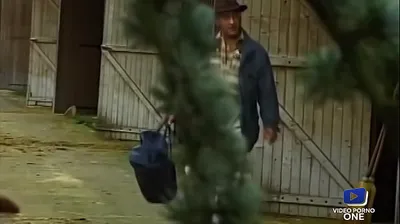 JAVHD