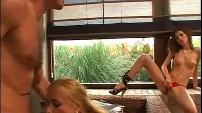 JAVHD