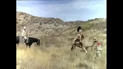 JAVHD