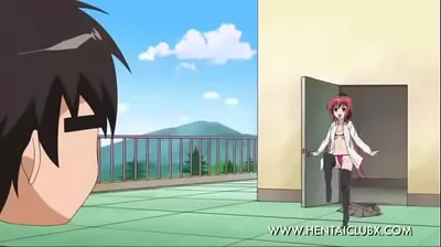 JAVHD