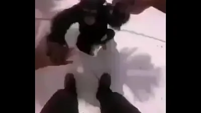 JAVHD