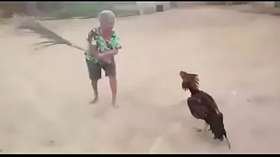 JAVHD