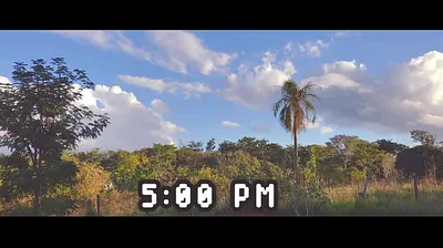 JAVHD