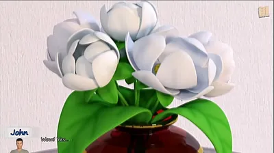 JAVHD