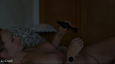 JAVHD