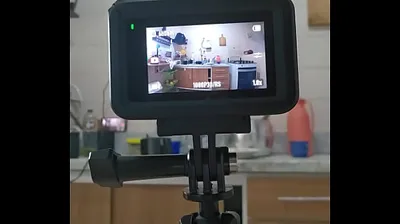JAVHD