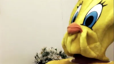 JAVHD