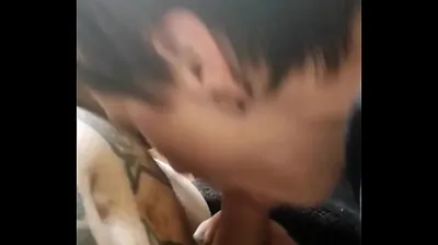 JAVHD