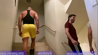 JAVHD