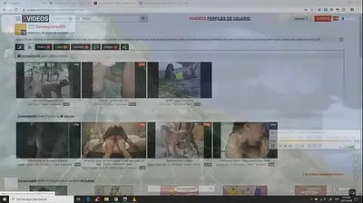 JAVHD