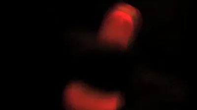 JAVHD