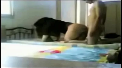 JAVHD