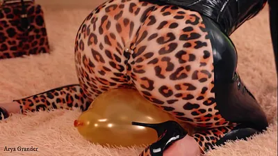 JAVHD