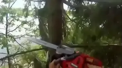 JAVHD